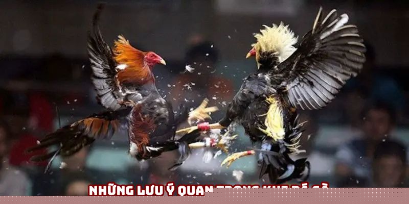 Bỏ túi những lưu ý quan trọng Bỏ túi những lưu ý quan trọng