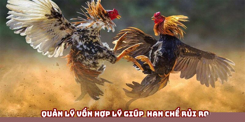 Quản lý vốn hợp lý giúp người chơi hạn chế rủi ro Quản lý vốn hợp lý giúp người chơi hạn chế rủi ro
