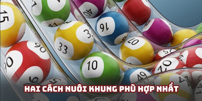 Hướng dẫn hội viên hai cách nuôi khung đánh dàn đề cơ bản cơ bản Hướng dẫn hội viên hai cách nuôi khung đánh dàn đề cơ bản cơ bản