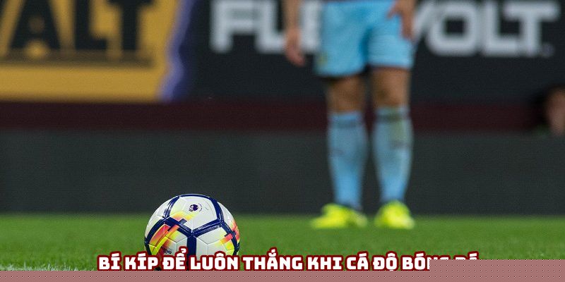Bỏ túi một vài bí kíp để luôn thắng khi cá độ bóng đá Bỏ túi một vài bí kíp để luôn thắng khi cá độ bóng đá