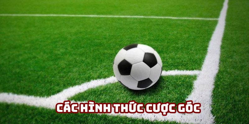 Đa dạng kèo phạt góc cho hội viên khám phá Đa dạng kèo phạt góc cho hội viên khám phá