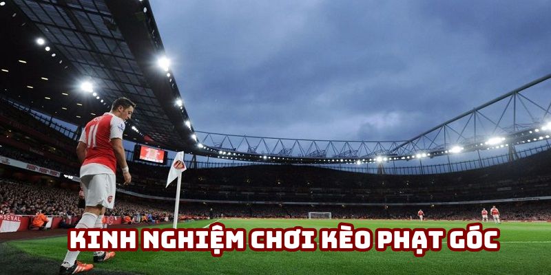 Mẹo cược tỷ lệ thắng cao nên tham khảo Mẹo cược tỷ lệ thắng cao nên tham khảo