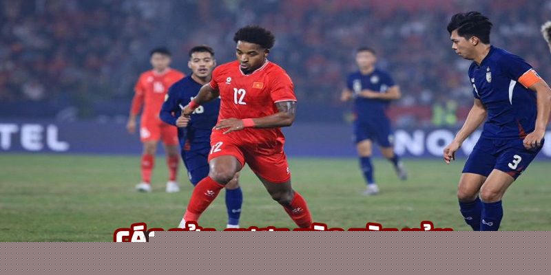 Nhiều thể loại kèo khác nhau cho hội viên trải nghiệm Nhiều thể loại kèo khác nhau cho hội viên trải nghiệm